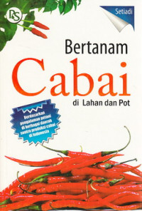 Bertanam cabai di lahan dan pot