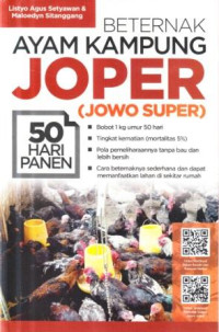 Beternak ayam kanmpung Joper (Jowo super)