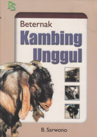 Beternak kambing unggul