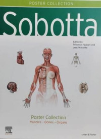 Sobotta Atlas of Anatomy : Poster Collection