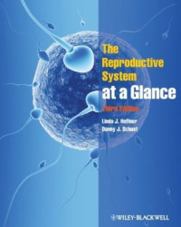 The Reproductive System at a Glance