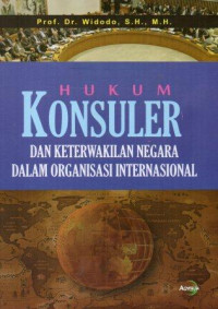 Hukum konsuler dan keterwakilan negara dalam organisasi internasional