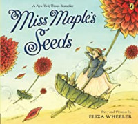 Miss Maple's seeds