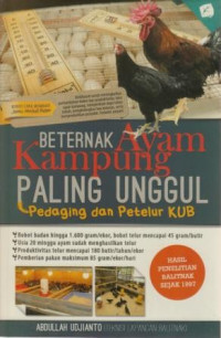 Beternak ayam kampung paling unggul : pedging dan petelur KUB