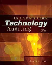 Information technology auditing