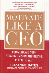 Motivate like a CEO : communicate your strategic vision and inspire people to act