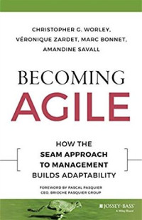 Becoming agile: how the SEAM approach to management builds adaptability