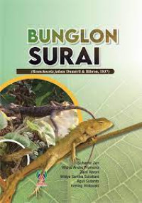 Bunglon surai :bronchocela jubata dumeril & bibron, 1837