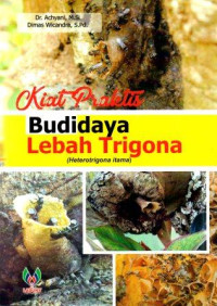 Kiat praktis budidaya lebah trigona (Heterotrigona itama)